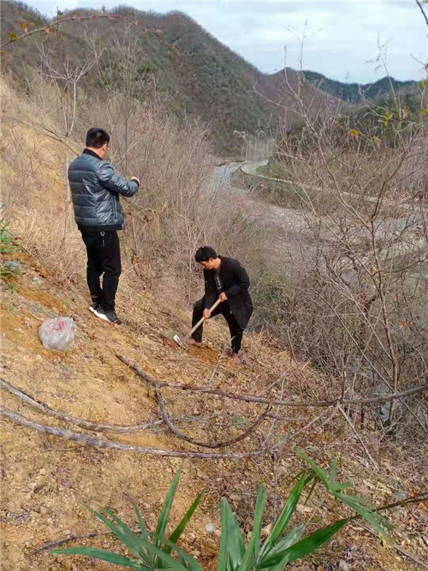 &#24320;&#20113;&#40;&#20013;&#22269;&#41;&#75;&#97;&#105;&#121;&#117;&#110;