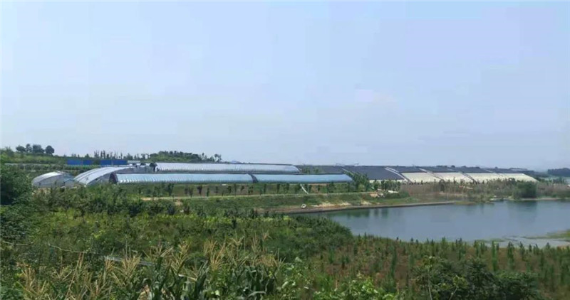 &#24320;&#20113;&#40;&#20013;&#22269;&#41;&#75;&#97;&#105;&#121;&#117;&#110;