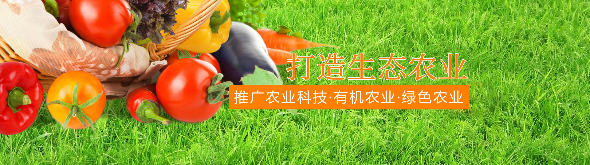 &#24320;&#20113;&#40;&#20013;&#22269;&#41;&#75;&#97;&#105;&#121;&#117;&#110;